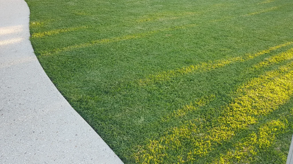 Freshly mown lawn beside a concrete path, Gold Coast